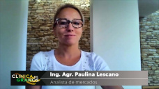 Soja: los mercados siguen con corto plazo complicado, con Paulina Lescano - Clínica de Granos