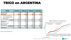 Trigo: el más favorecido de los menores DEX, ¿y los precios?; con Lorena D´ Angelo - Clínica de Granos