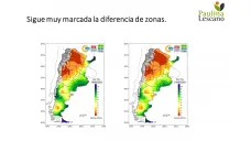 Trigo: esperando desesperadamente las lluvias, con Paulina Lescano - Clínica de Granos