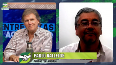 Apicultura, productos gourmet y modelos agropecuarios más sustentables; con Pablo Vallejos - INTA