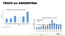 Trigo: el producto con mejor performance en la semana; con Lorena D´ Angelo - Clínica de Granos