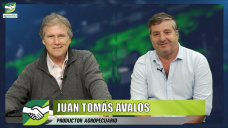 Productor y político: el desafío de comprometerse sin dejar el campo; con Juan Avalos - productor