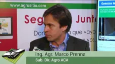 TV: 