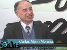 30 online: ¿Qué márgenes dejará el maíz en campo propio y alquilado?; con C. Marín Moreno