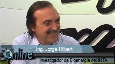 30 online: Caso Finlandia y ¿cómo generan bioenergía los países más desarrollados?; con J. Hilbert