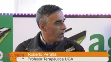 TV: 