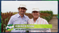 ¿Les alcanzarán a los criaderos las semillas de Trigo, Maíz, Girasol, Soja,y Sorgo?; con F. Pisoni - Dir. de RAGT
