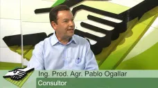 TV: ¿Quienes son más competitivos; los productores yanquis o los argentinos?; con P. Ogallar