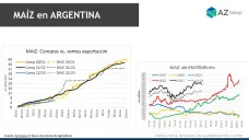 Maíz: En sintonía con el comportamiento externo pero con condimentos propios, con Lorena D´Angelo - Clínica de Granos