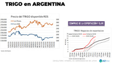 Trigo: Argentina gana mercados, pero no precios; con Lorena D´ Angelo - Clínica de Granos
