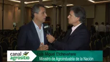TV: 