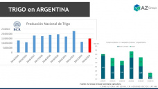Trigo: el mundo y Argentina con menos trigo, con Lorena D´Angelo - Clínica de Granos