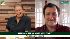 Guerra en Irán, petróleo caliente, granos sensibles, ¿subirán Soja y Maíz?; con H. Fernández Martínez - analista