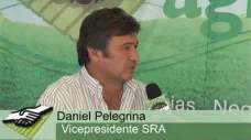 TV: ¿Qué propone la Rural para vender soja con gen Intacta, sin problemas?; con D. Pelegrina