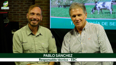 Qué buscan hoy los productores al elegir Pasturas y Verdeos; con Pablo Sánchez - Baya Casal