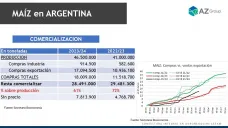 Maíz: precio competitivo ¿habrá oferta para exportar más? ; con Lorena D´Angelo - Clínica de Granos