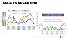 Si no vendiste Maíz, esperaaaaa!!!; con Lorena D´ Angelo - Clínica de Granos