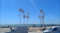 La teoría de las 3 ACTITUDES ante la vida de un Productor agropecuario; con Eduardo Freije