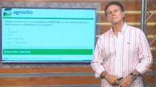 Macri gana de punta a punta si CONSENSUA; con Ricardo Bindi