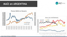 Maz: Bajan los precios de exportacin y destruye los precios disponibles, con Lorena DAngelo - Clnica de Granos