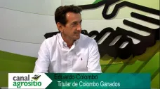 TV: 