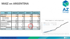 El maz argentino slo puede tener buen precio si exporta, con Lorena DAngelo - Clnica de Granos