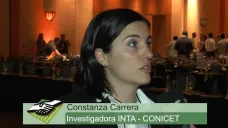 TV: ¿Cómo puede el Cambio climático afectar la productividad de la soja?; con C. Carrera - INTA