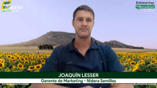 Manejo por ambientes, genética, más IA: la fórmula para rindes récord en Maíz y Girasol; con J. Lesser - Nidera