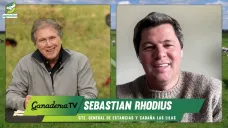 Crece la demanda de genética premium: Brangus, Braford y Brahman de Las Lilas; con Sebastián Rhodius - veterinario