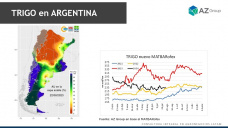 Trigo: el clima deteriora los cultivos argentinos, con Lorena D´Angelo - Clínica de Granos