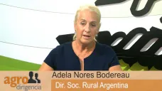 AgroDir.TV B3: 