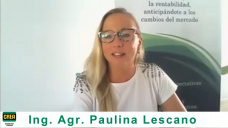 El anlisis de los mercados granarios que Paulina Lescano le hizo a los CREA
