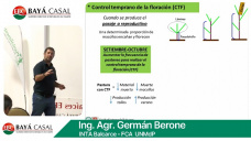 ABC ganadero del pastoreo eficiente de festuca y alfalfa; con Germán Berone - INTA Balcarce