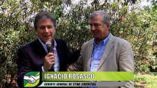 La nueva genética y los eventos de Stine en soja; con Ignacio Rosasco