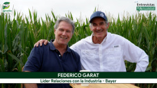 Nuevos Maíces Dekalb: reducen 30% la altura y suben los rindes; con Federico Garat - Bayer