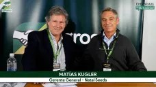 Natal Seeds: tres primos y un tío breeder reinventan la genética maicera ganadera, con madurez de 98 días