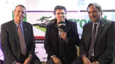 TV: 