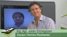 TV: 