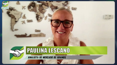 Paulina re-calcula: con tanto grano, ¿vender, guardar o canjear?; con P. Lescano - analista