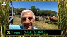 Cual ser el mejor negocio Ganadero con pasto y buenos precios?; con Pablo Tarasido - consignatario