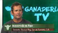 Ganad. TV B2: Estamos -empatanados- en el manejo forrajero de la hacienda?; con S. de Pino