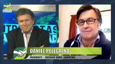 Campo y devaluación con brecha extendida; con Daniel Pelegrina - SRA