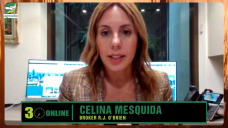 Impactar la cada de Soja y Maz argentino en Chicago y China?; con Celina Mesquida - R.J.OBrien