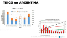 Trigo: el 2026 comenzó con subas ¿se podrán sostener? ; con Lorena D´ Angelo - Clínica de Granos