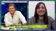 Caso Lcteos Vidal: cuando los Gremios destruyen empresas y trabajadores; con Elida Thiery - periodista