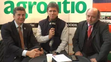 TV: 