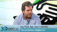 30 online B3: ¿Estamos viendo una muy buena relación Invernada / gordo?; con Juan Pedro Colombo