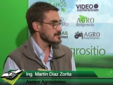TV: ¿Cuáles son las claves para un correcto manejo del Trigo sin morir en el intento?; con M. Díaz Zorita
