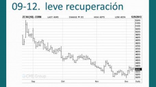 TV: Maíz, ¿podrá el reporte del USDA mejorar la tendencia?, con Paulina Lescano - Clínica de Granos
