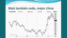 TV: Maíz: Localmente mayor interés de compradores, poca mejora de precios ; con Paulina Lescano - Clinica de Granos
